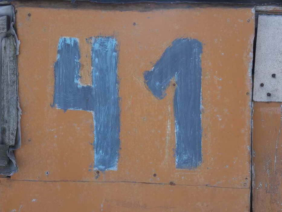 41