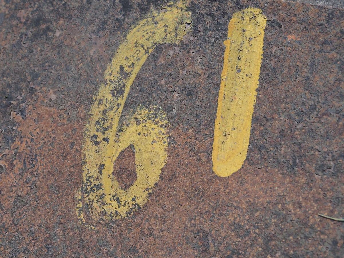61