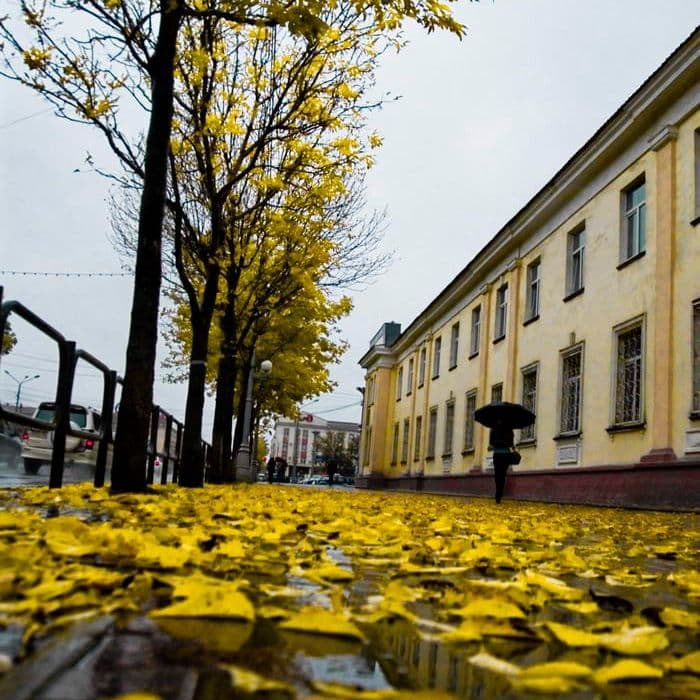 Сахалин, Россия, Фактуры, Ебеня, Жизнь, Разное, Жанр, Как в сказке, Фотографии, Фото, Photo, Живём, СССР, Россия, Карафуто, 