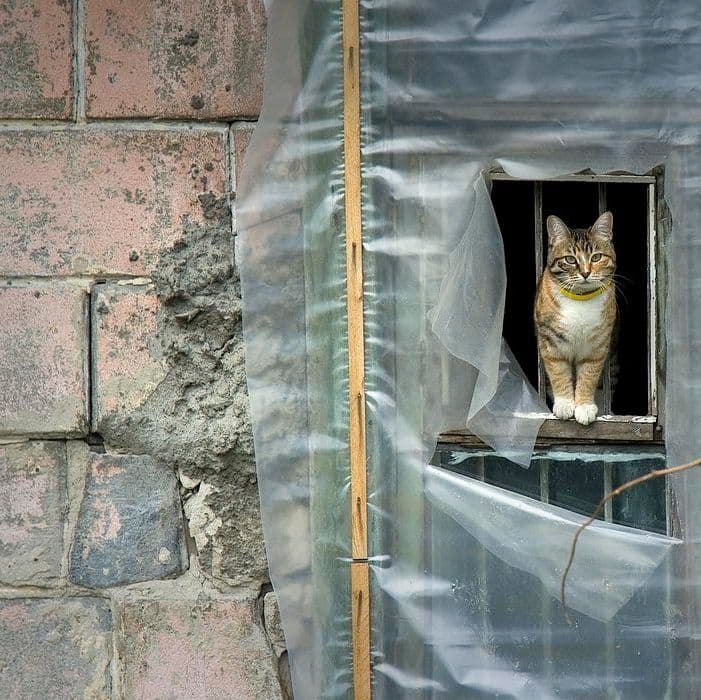 Сахалин, Россия, Фактуры, Ебеня, Жизнь, Разное, Жанр, Как в сказке, Фотографии, Фото, Photo, Живём, СССР, Россия, Карафуто, 