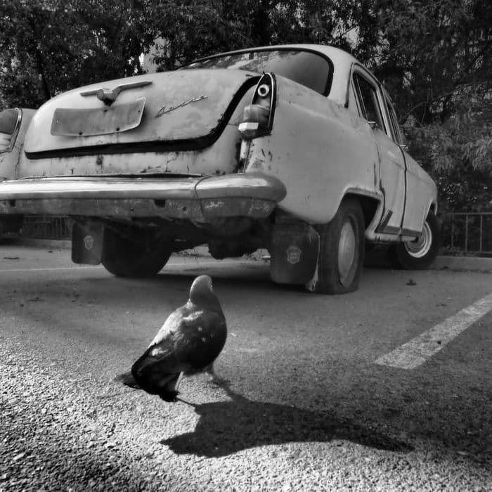 Сахалин, Россия, Фактуры, Ебеня, Жизнь, Разное, Жанр, Как в сказке, Фотографии, Фото, Photo, Живём, СССР, Россия, Карафуто, 