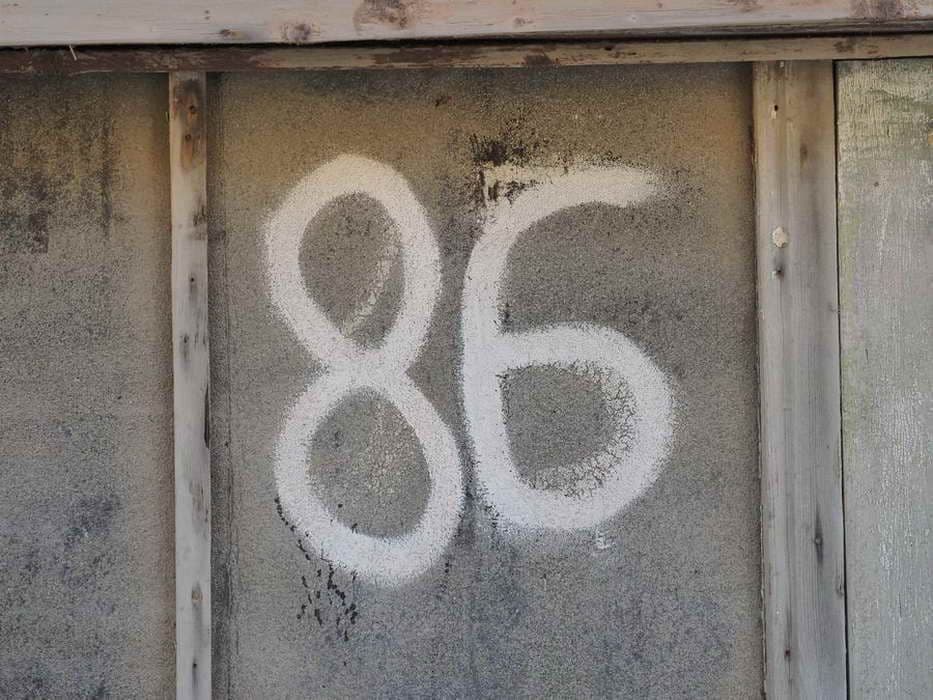 86