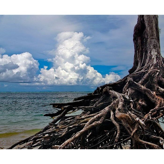 Saipan Сайпан