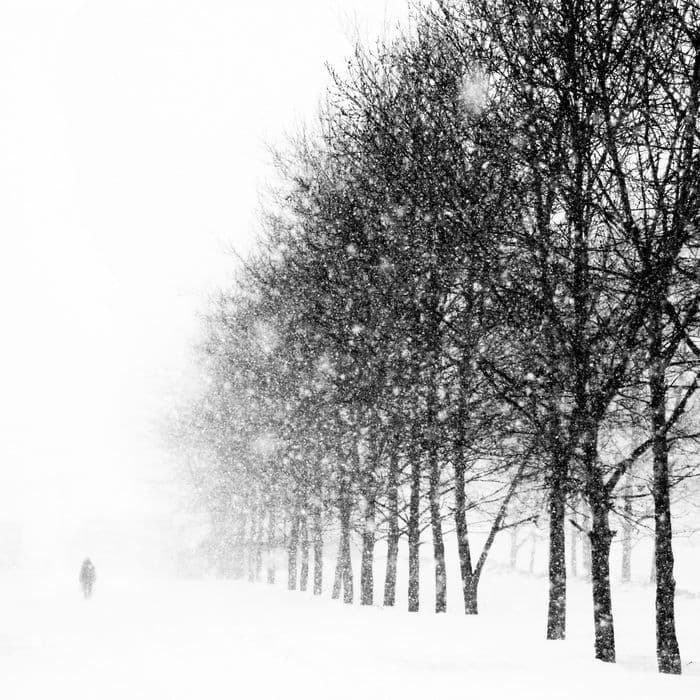 Сахалин, Россия, Фактуры, Ебеня, Жизнь, Разное, Жанр, Как в сказке, Фотографии, Фото, Photo, Живём, СССР, Россия, Карафуто