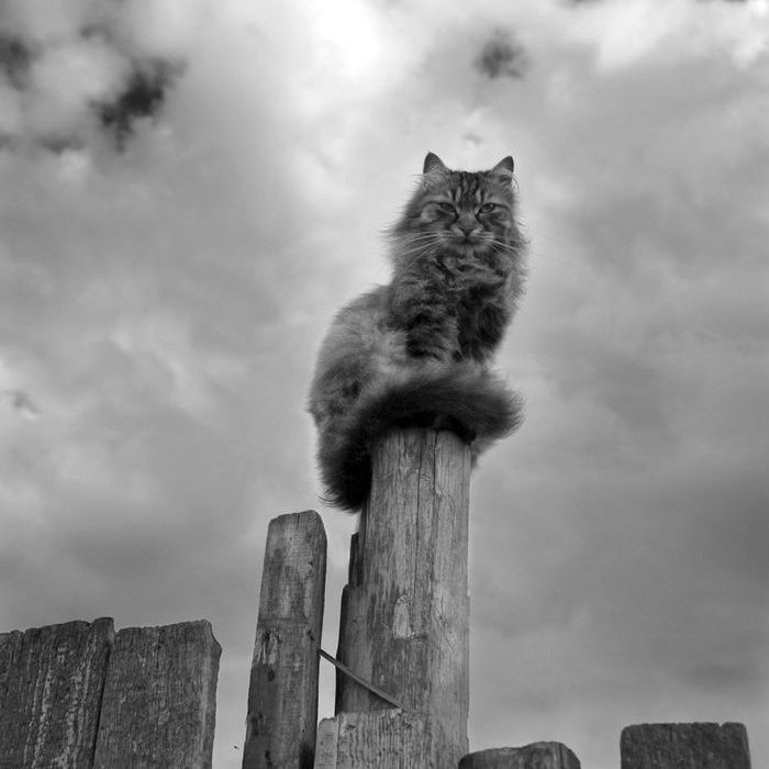 Сахалин, Россия, Фактуры, Ебеня, Жизнь, Разное, Жанр, Как в сказке, Фотографии, Фото, Photo, Живём, СССР, Россия, Карафуто, Ленин