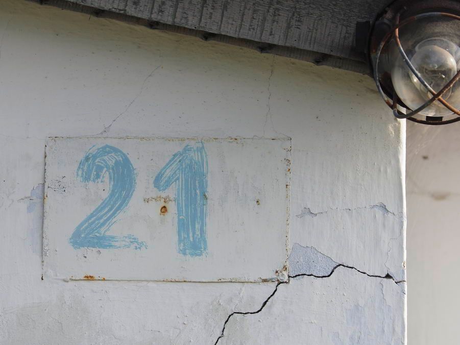 21