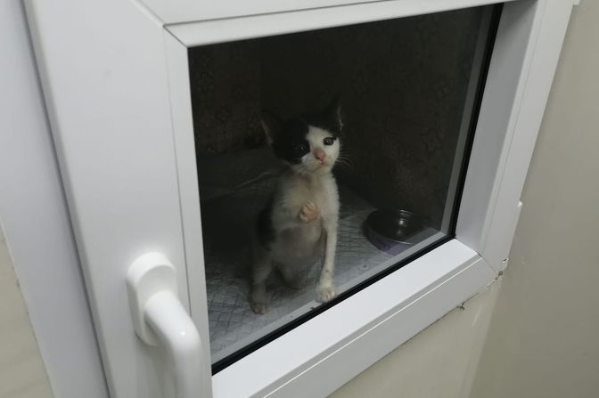 Что внутри