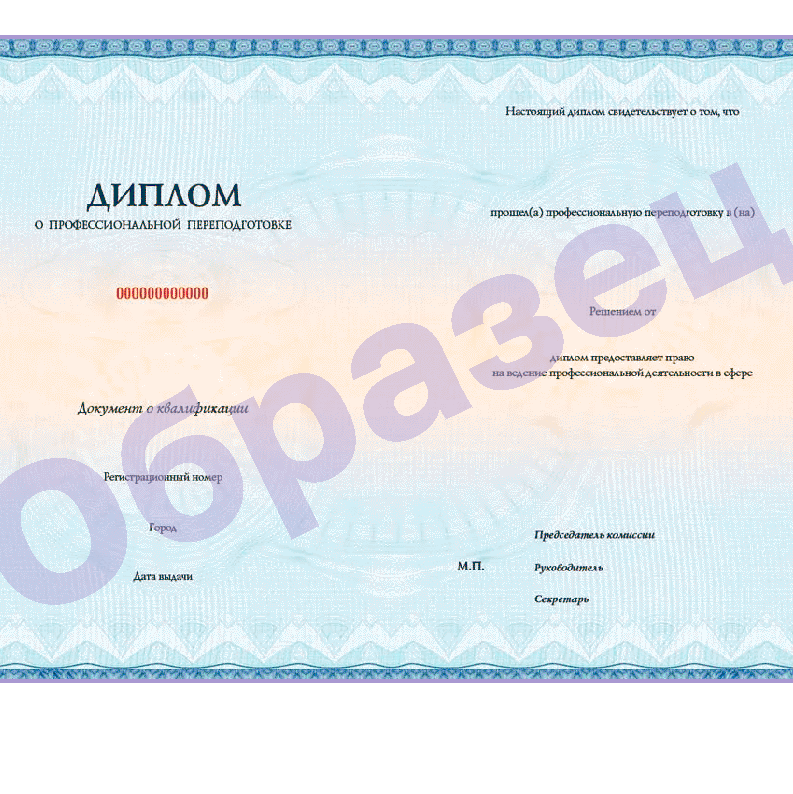 Три шага до профессии мечты