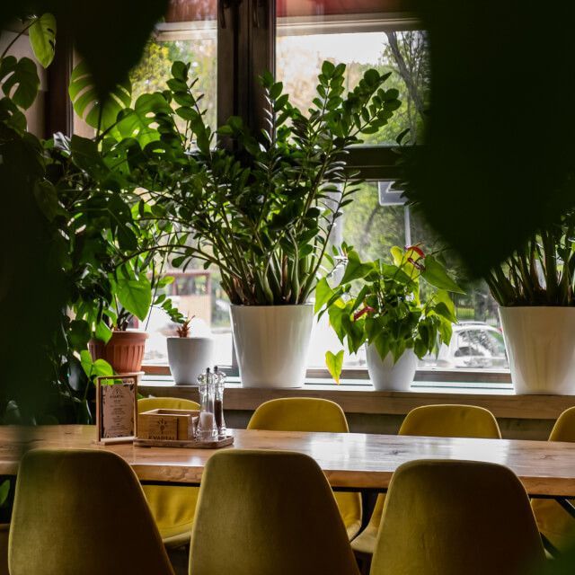 Купить Ресторан Kvartal Green Garden в Москве