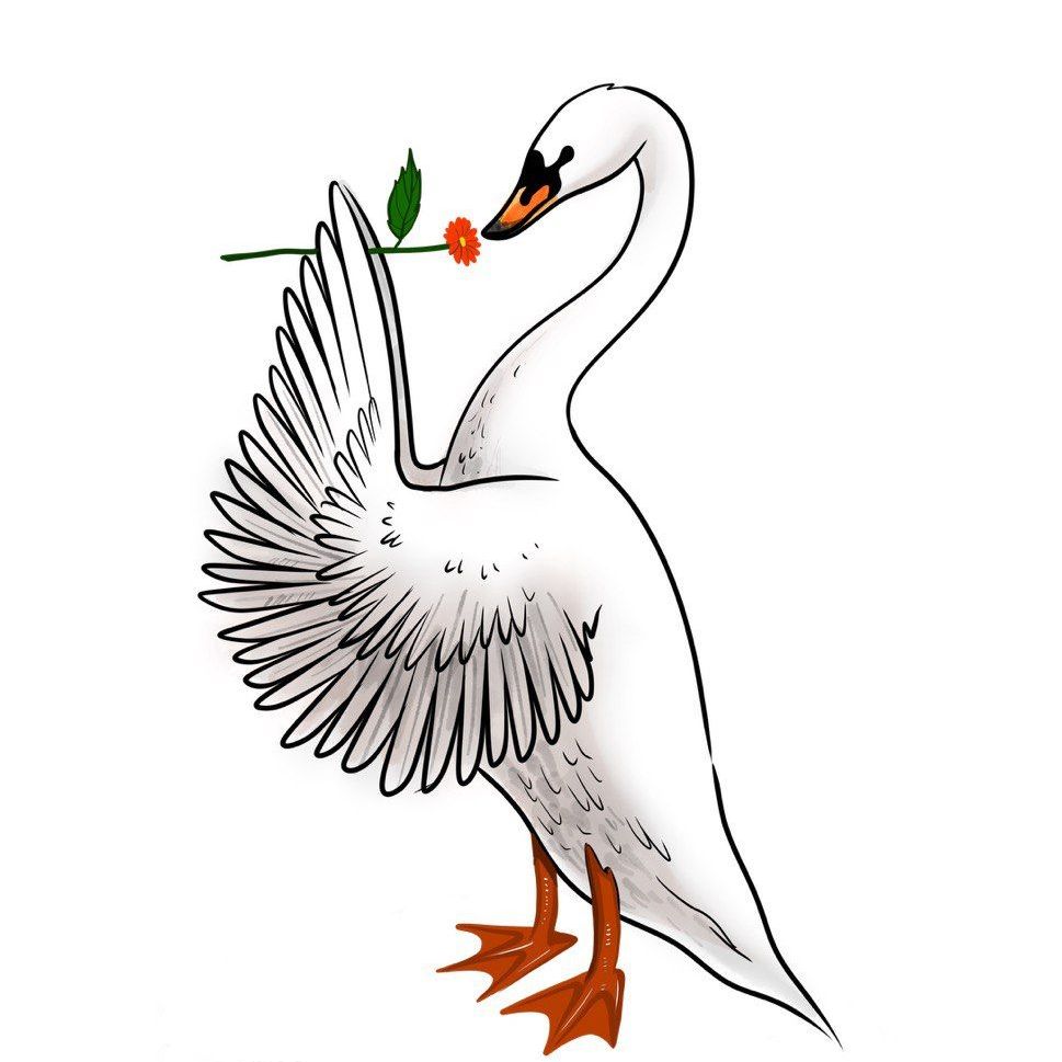 Купить Лебедь Романтики