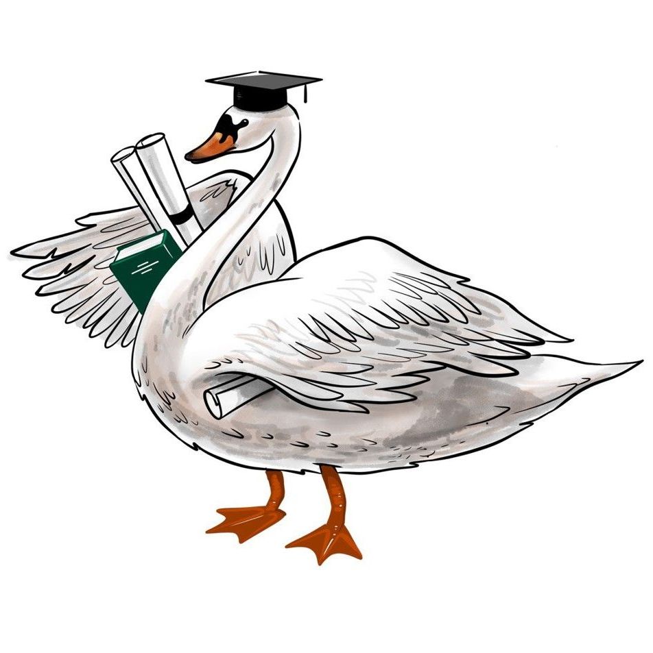 Купить Лебедь Мудрость