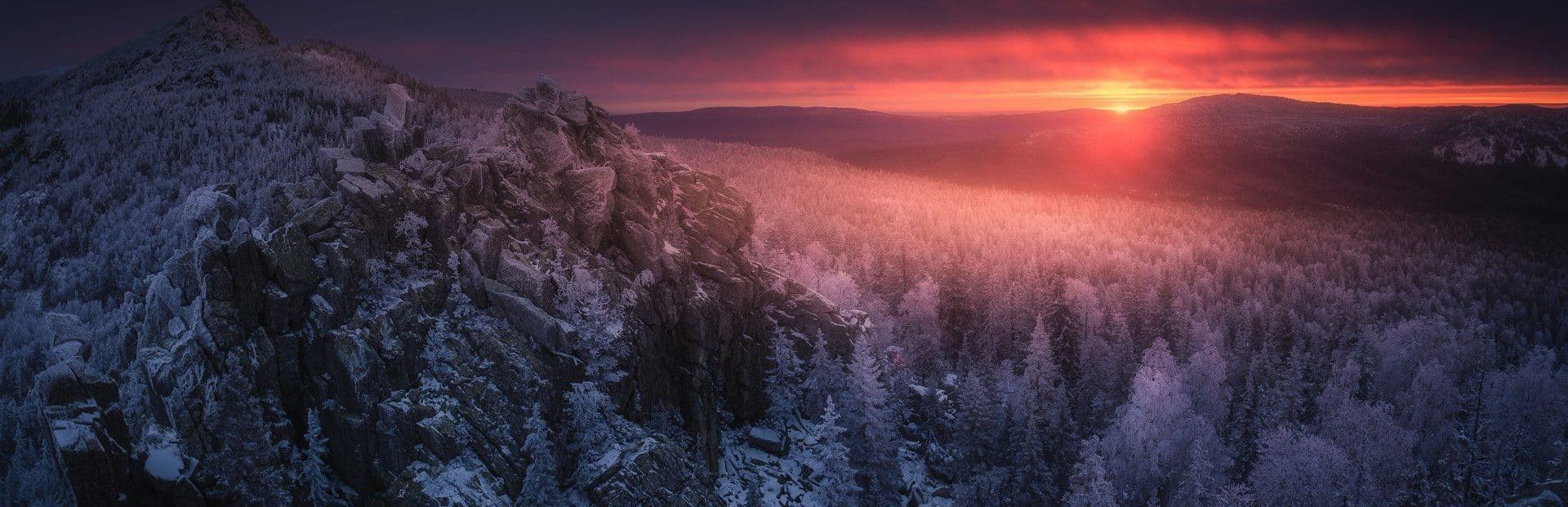репетитор