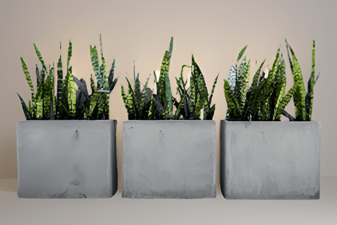 Визуализация