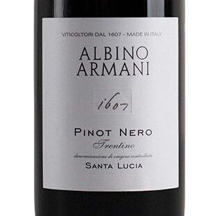 Купить Albino Armani Pinot NeroАльбино Армани Пино неро, 0.75 л