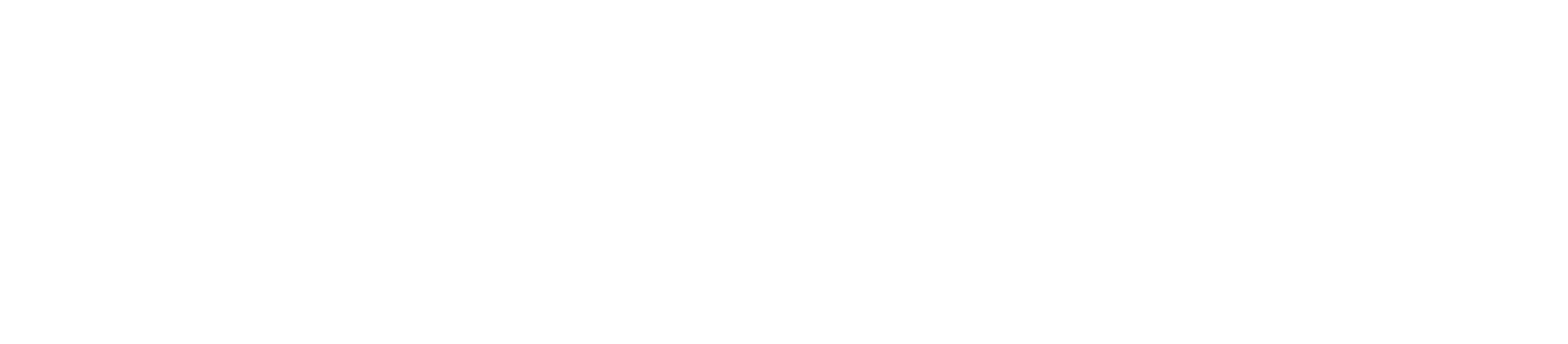 dutch logo