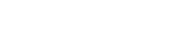 Paradox Brewery logo