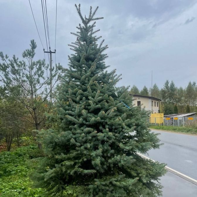 Галерея