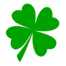 Много цветов и всё для них