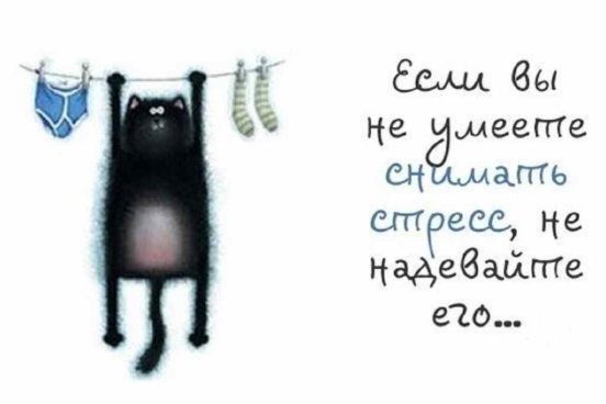 О тортах