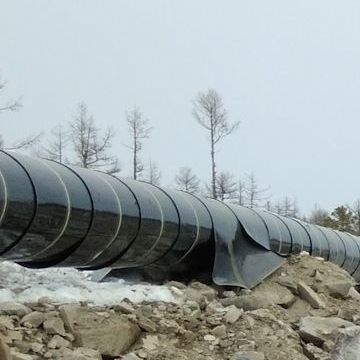 Полимерный скальный лист, скальный лист полимерный