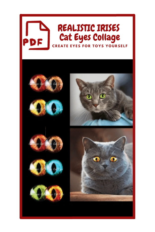 The image is a collage with a red border. At the top, there is a graphic of a document with the letters "PDF" and the text reads "REALISTIC IRISES Cat