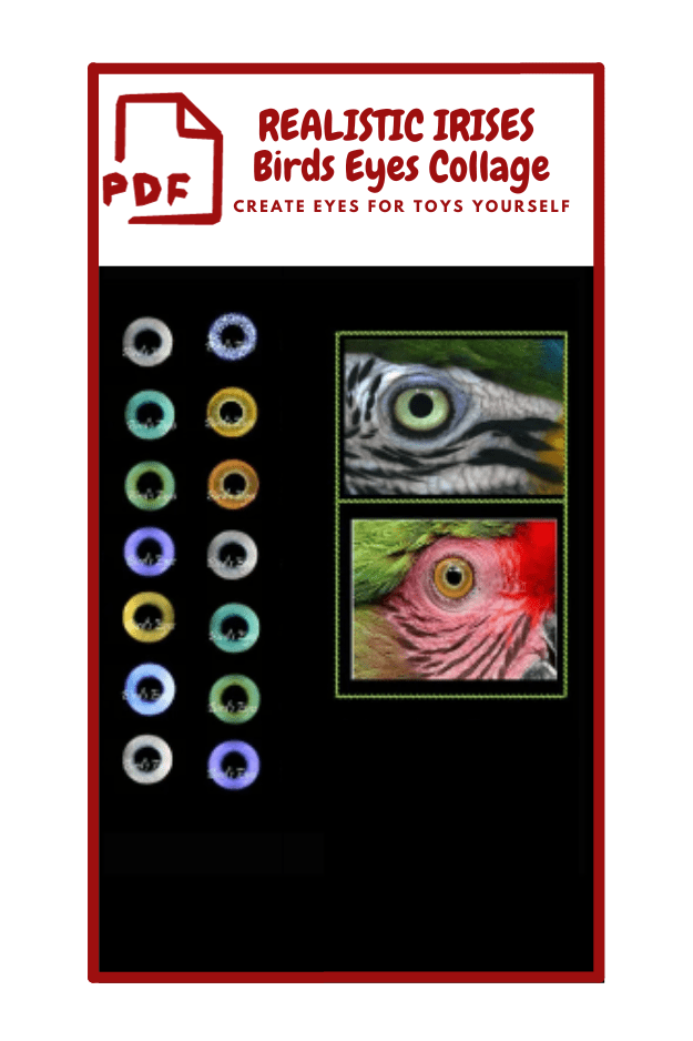 The image is a digital collage titled "REALISTIC IRISES Birds Eyes Collage" with the subtitle "CREATE EYES FOR TOYS YOURSELF." It features a PDF icon 