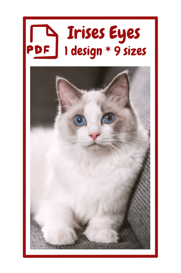 The image shows with a picture of a fluffy white and gray cat with striking blue eyes. The cat is sitting on a gray surface, looking directly at the c