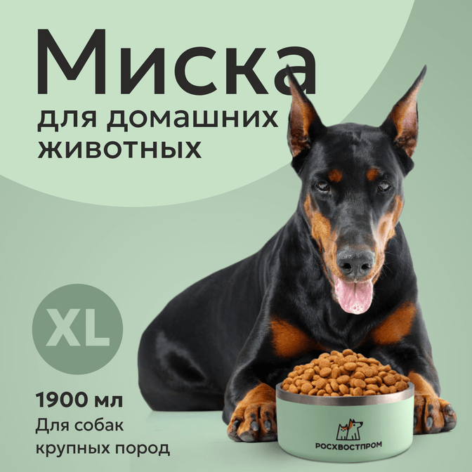 Миска собак, кошек и других животных