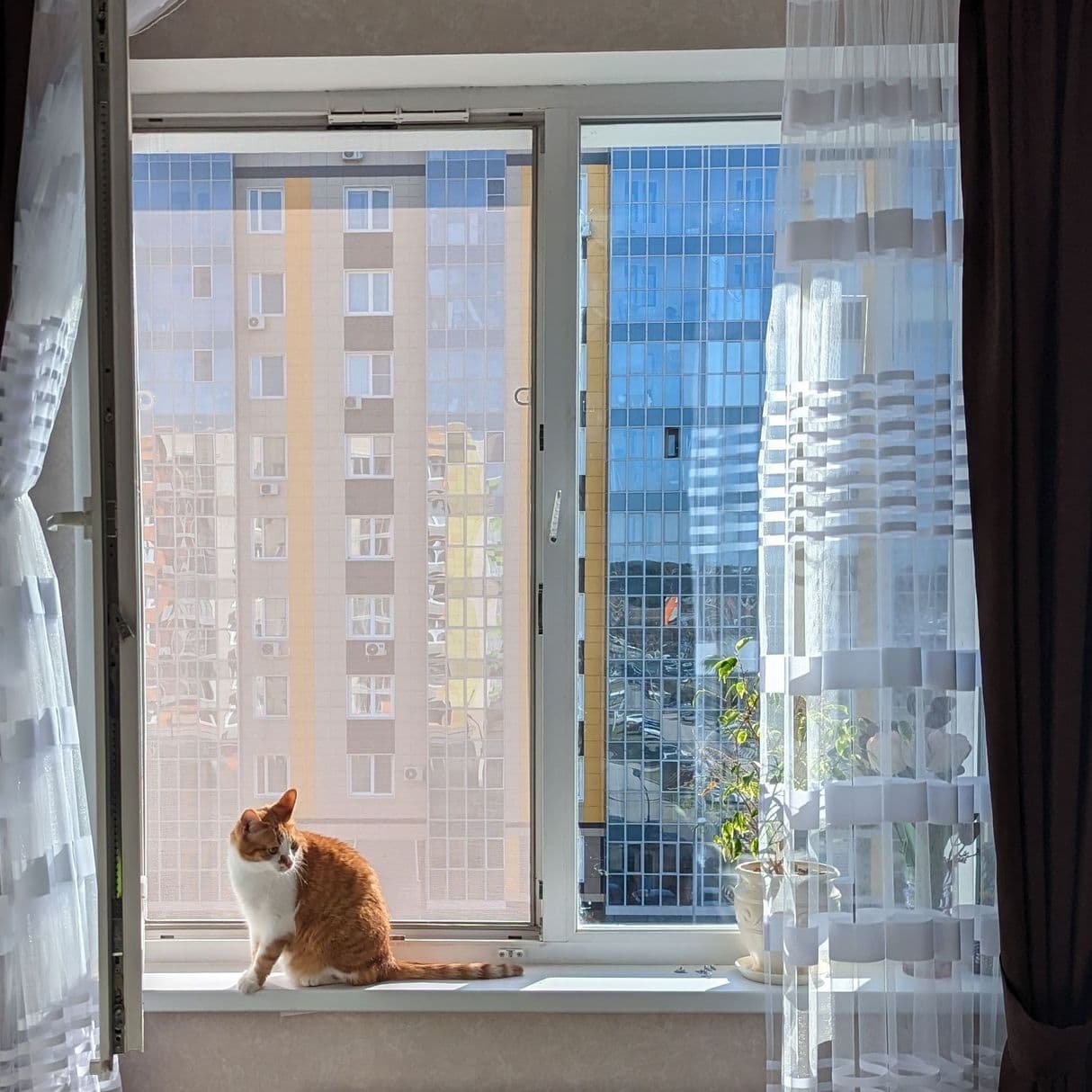 москитные сетки Казань, сетка плиссе Казань гармошка, установка москитных сеток Казань, москитная сетка на окна Казань, сетка антикошка казань