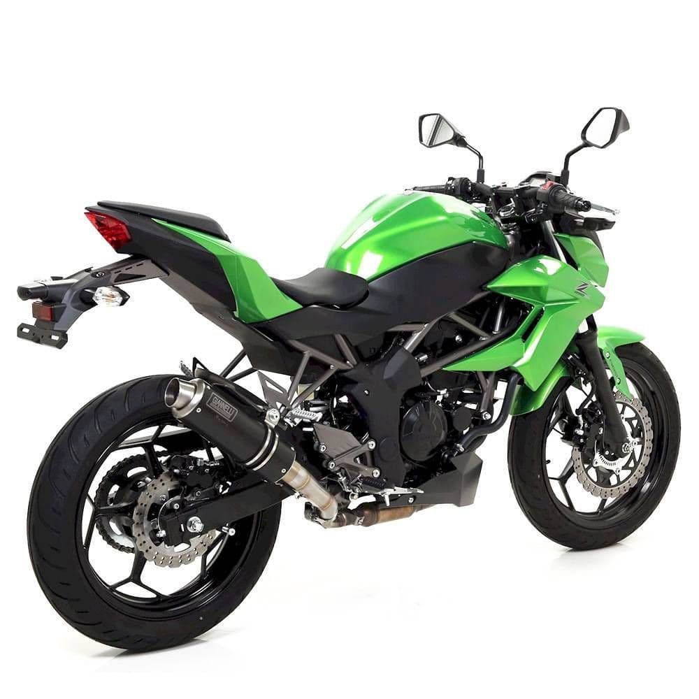 Купить Kawasaki Z 250 ABS