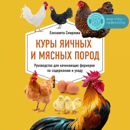 Купить Куры яичных и мясных пород.